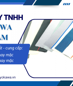 Giới thiệu công ty Kiyokawa Việt Nam